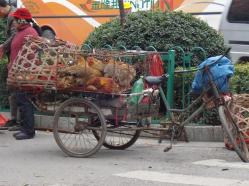 Terug in Guilin