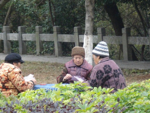 Kaarten in het park
