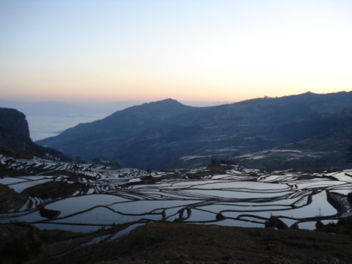 Yuanyang riceterraces