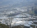 Yuanyang