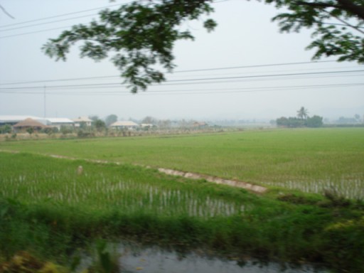 Omgeving van wwoof