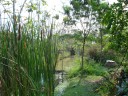 Tuin