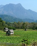 Noord Laos