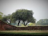 Oude stadsmuur in Ayuttaya