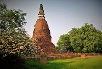 Stupa in Ayuttaya