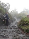 Alum cave trail