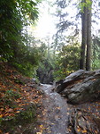 Alum cave trail