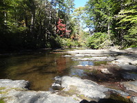 Abram Falls Trail