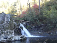 Abram Falls trail