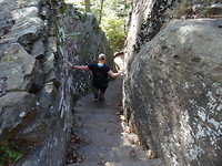 Bell Smith springs