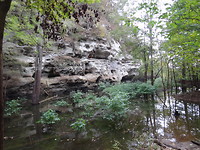 Little grand canyon trail