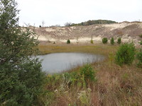 Indiana Dunes National Park