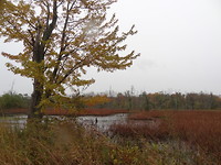 Indiana Dunes National Park
