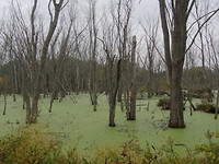 Indiana Dunes National Park