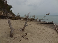 Indiana Dunes National Park