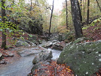 Ozark national forest