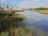 Davis Bayou