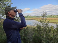 Davis Bayou