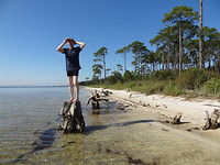 National seashore gulf islands