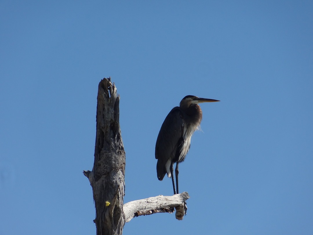 Pensacola Reisverhaal Ron & Berna's reisblog