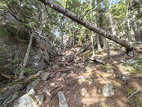 De trail