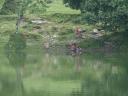 india en nepal 381