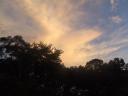 DSCF3801