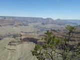 Grand Canyon 3