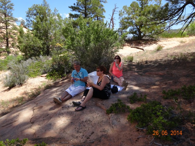DSC00118_2