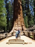 Sequoia 3