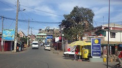 IMGP2533