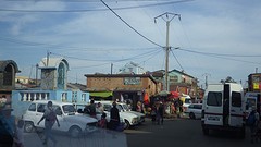 IMGP2535