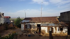 IMGP2547