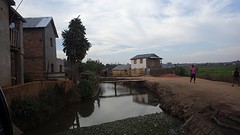 IMGP2556