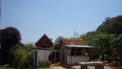 IMGP2616