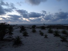 DSC00445