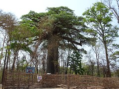 DSC00456
