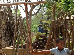 DSC00463