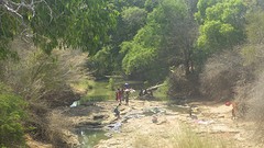 IMGP2676