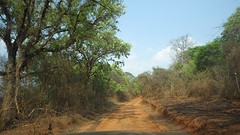 IMGP2704