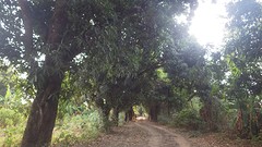 IMGP2706