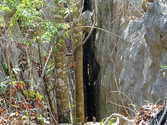 DSC00534