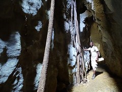 DSC00542