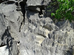DSC00553
