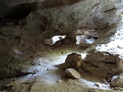 DSC00563
