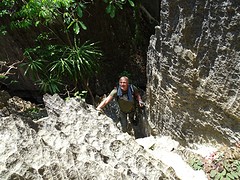 DSC00567