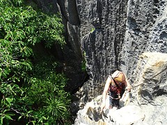 DSC00568