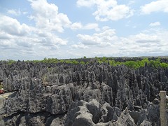 DSC00570