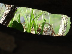 DSC00583