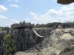 DSC00585
